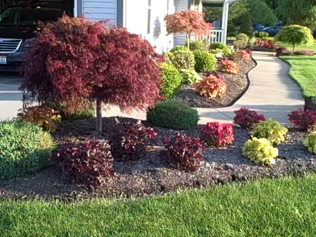 Landscape Design Tips Landscape design tips to help you transform your boring yard into a beautifully designed work of art!