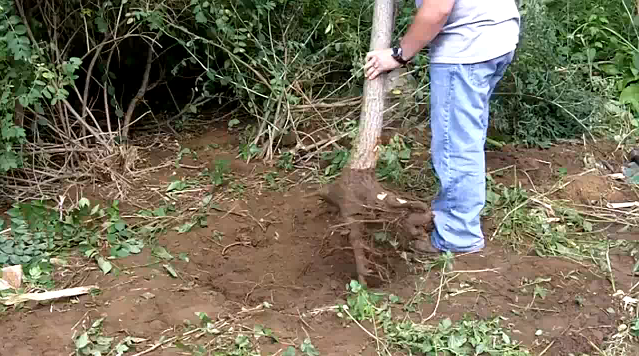 Tree Stump Removal Instructions Tree stump removal instructions that make a very difficult, if not an impossible job, manageable. I spent about 20 years re-landscaping homes. We used to re-landscape three homes a week,...